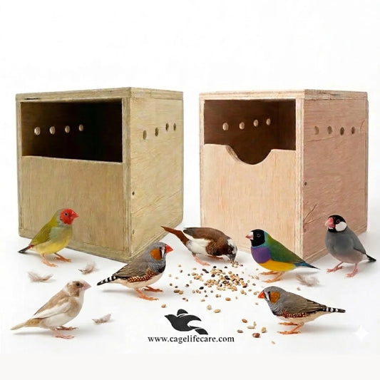 finches wood breeding box plywood
