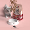 Flori Pet Cat Food – Chicken & Vegetable Formula – All Life Stages Nutrition