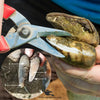 Foot Rot Hoof Cutter for Sheep and Goats