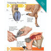 Foot Rot Hoof Cutter for Sheep and Goats