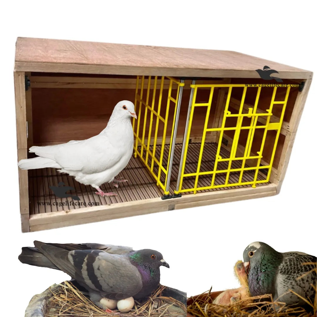 Front Grill Set for Pigeon Nest Box with Box