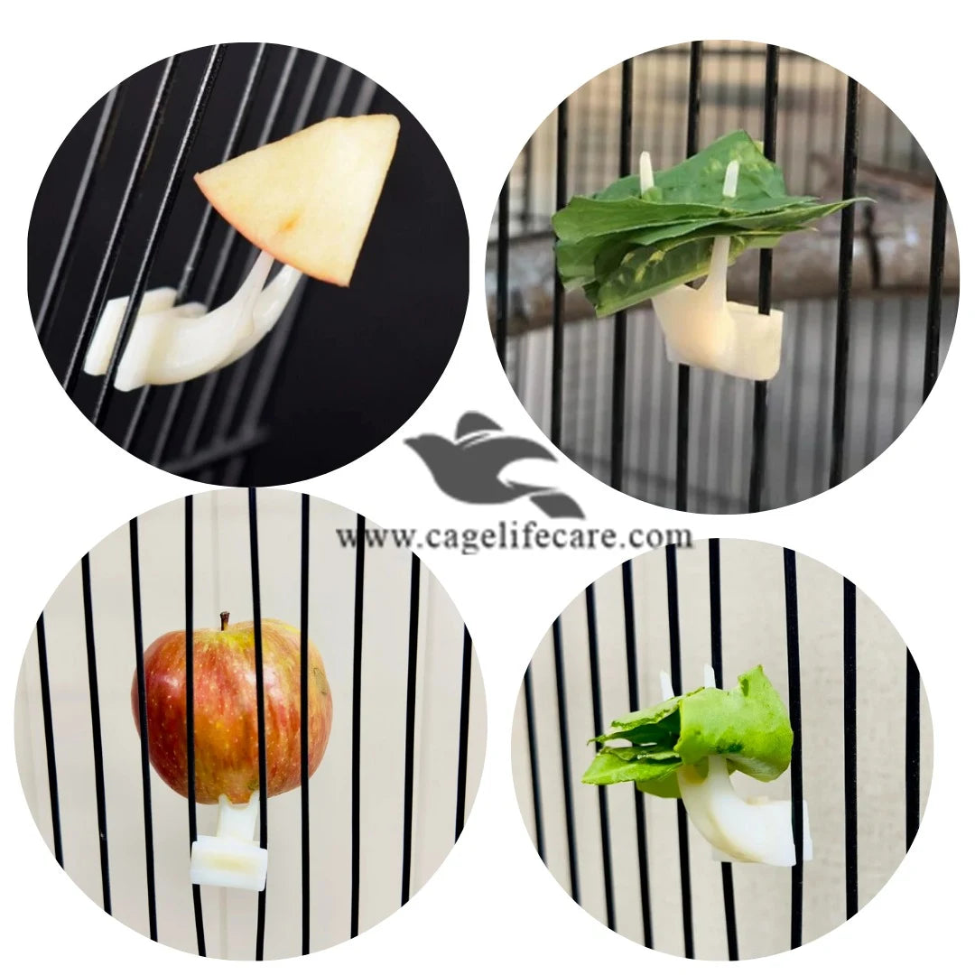 Fruit Fork - Secure Fruit & Veggie Holder for Birds