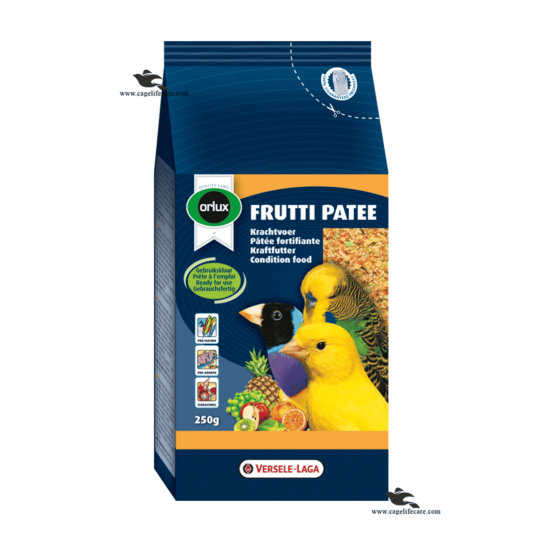 FRUTTI PATEE – Egg Food Enriched with Fruit (Orlux)