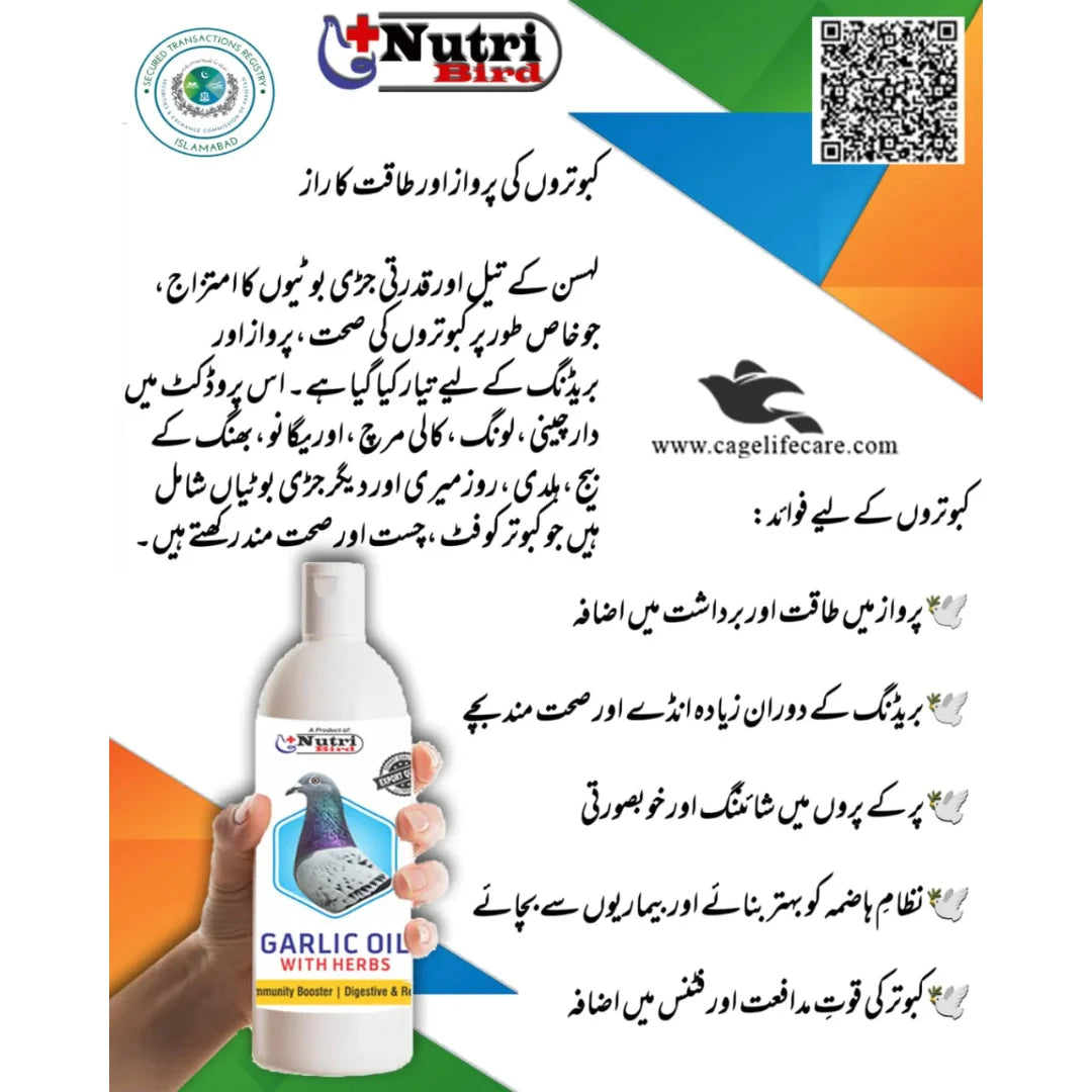 Herbal garlic oil supplement for pigeons digestion and immunity