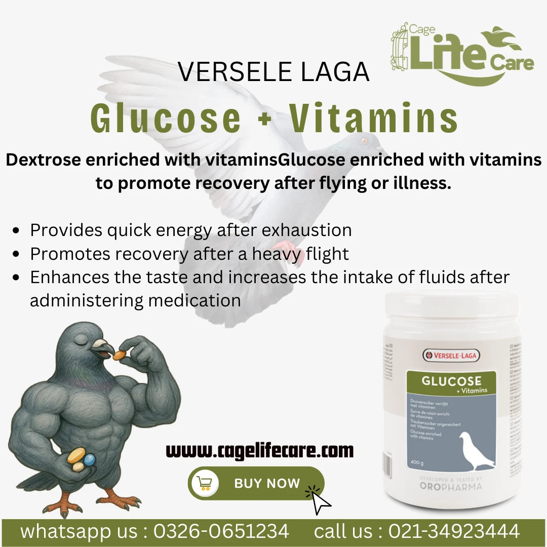 Glucose + Vitamins - Promote Recovery After Flying or illness Details