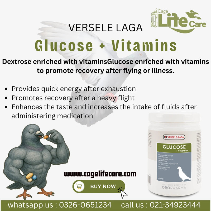 Glucose + Vitamins - Promote Recovery After Flying or illness