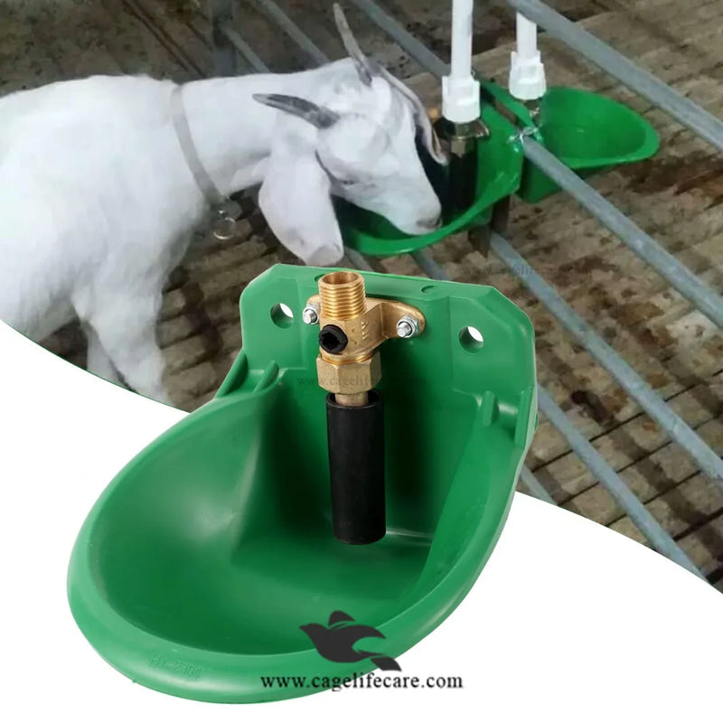 Goat Auto Drinker - 1L Automatic Water Bowl ( Brass Valve )