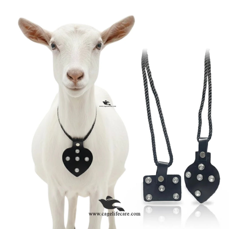 Goat & Sheep Black Leather Necklace (Taweez Style) – Square & Heart Shapes