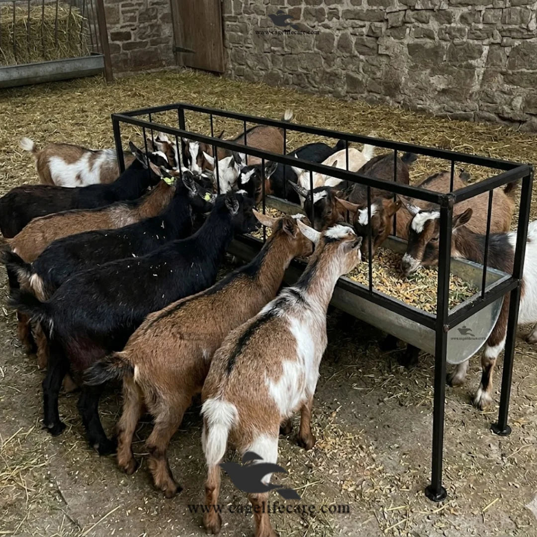 Heavy Duty Goat & Sheep Feeding Trough for 10 to 14 Animals