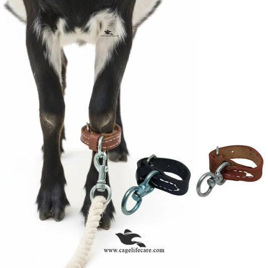 Premium leather leg belt for goats and sheep with rotating hook