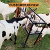 Goat & Sheep Metal Feeding Bucket with Foldable Stand