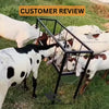 Goat & Sheep Metal Feeding Bucket with Foldable Stand