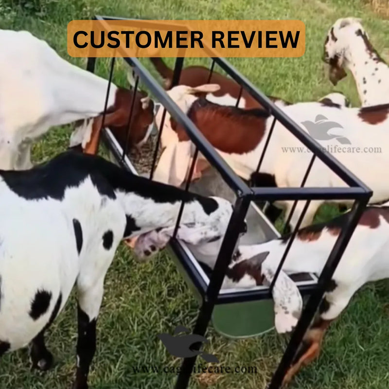 Goat & Sheep Metal Feeding Bucket with Foldable Stand