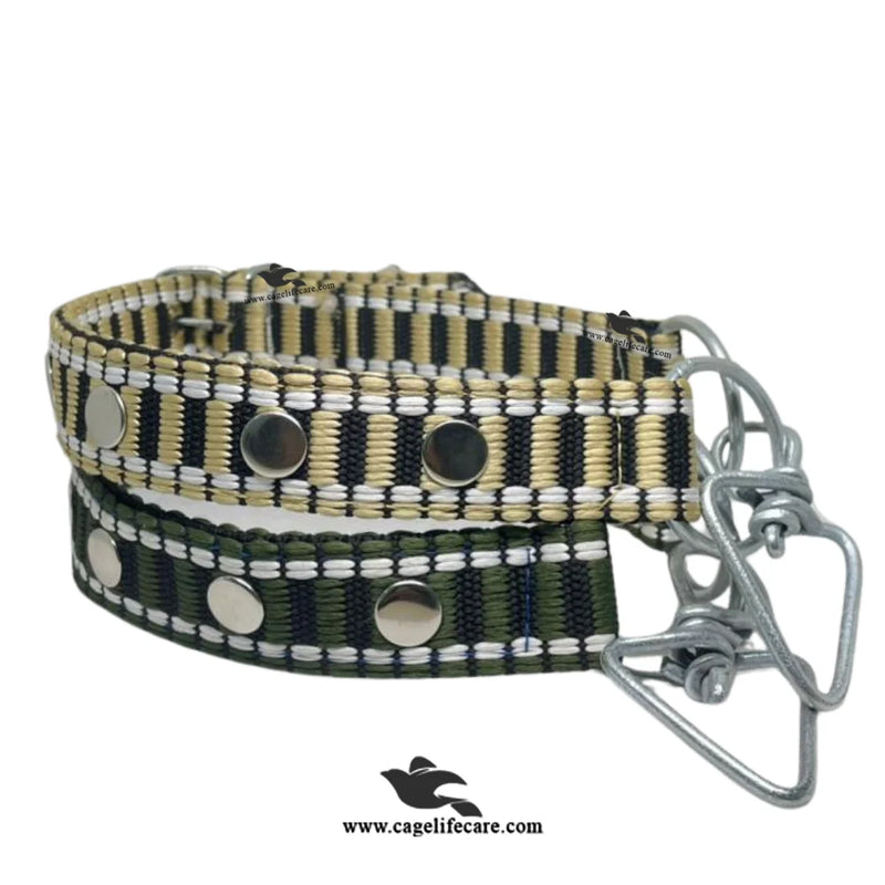 Goat & Sheep Neck Belt – Double Color Rangela Patta
