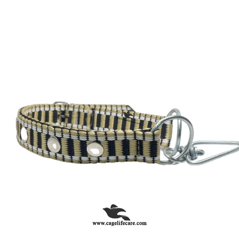 Goat & Sheep Neck Belt – Double Color Rangela Patta