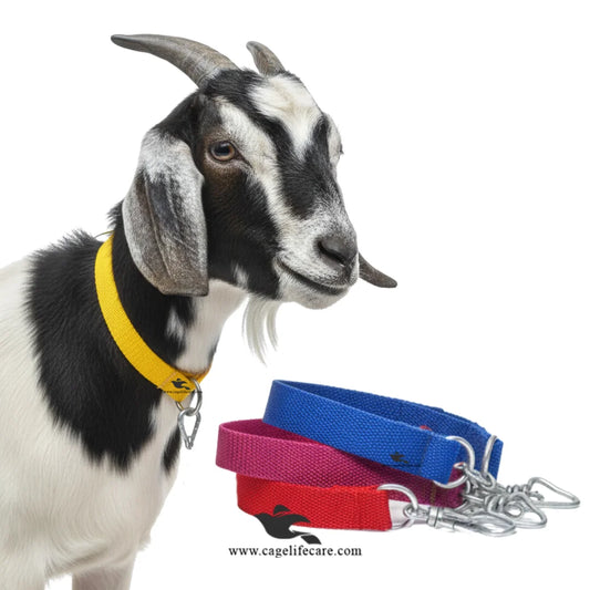 Goat nylon neck belt for small breeds