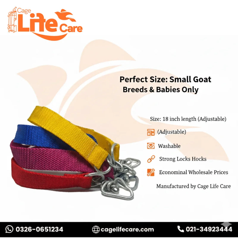 Goat & Sheep Nylon 1-Inch Neck Belt (Patta) For Small Breed Goats