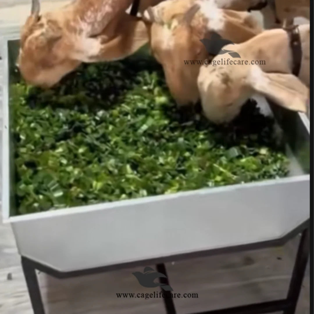 Easy-to-clean cow and buffalo feeding solution