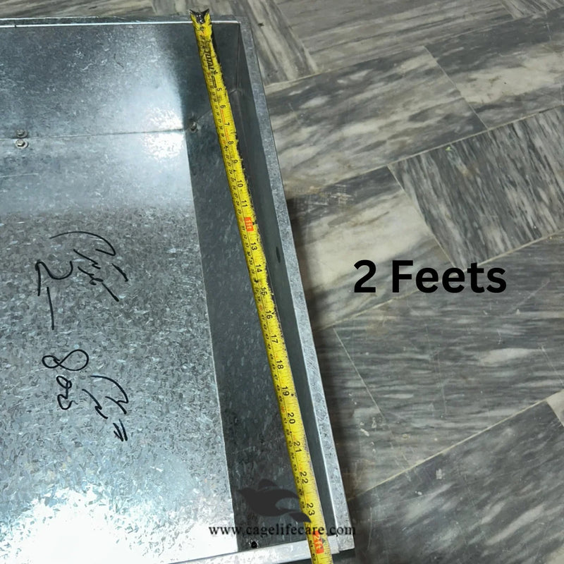 Goat & Sheep Square (2x2Ft) Steel Feeding Bucket with Foldable Stand