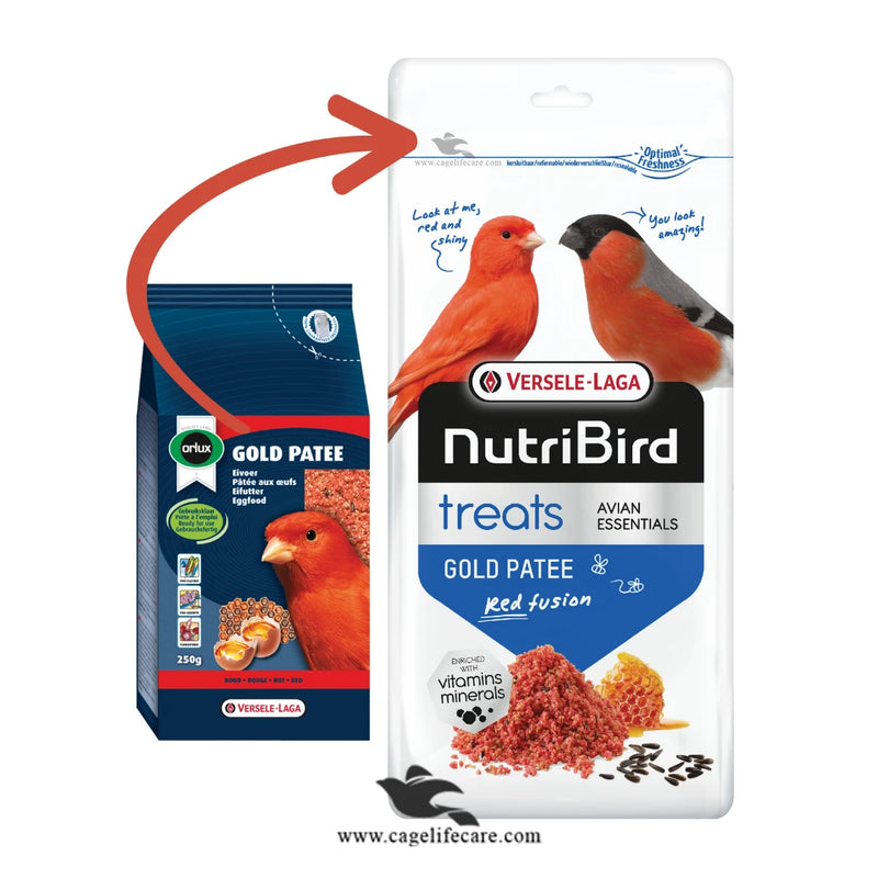 Gold Patee Canaries & Finches Red Eggfood (ORLUX) – Vibrant Plumage & Optimal Health