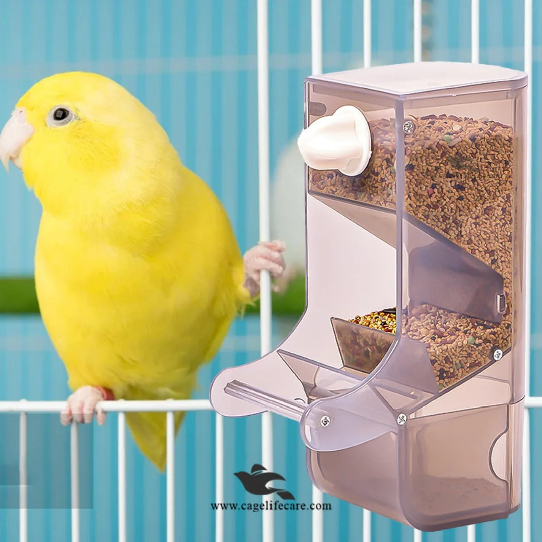 Gravity Auto Birds Feeder – No Mess Seed Hopper Automatic