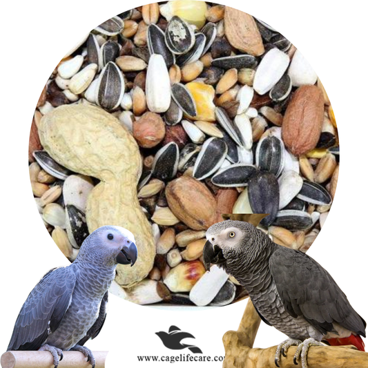 Grey Parrot Seed Mix
