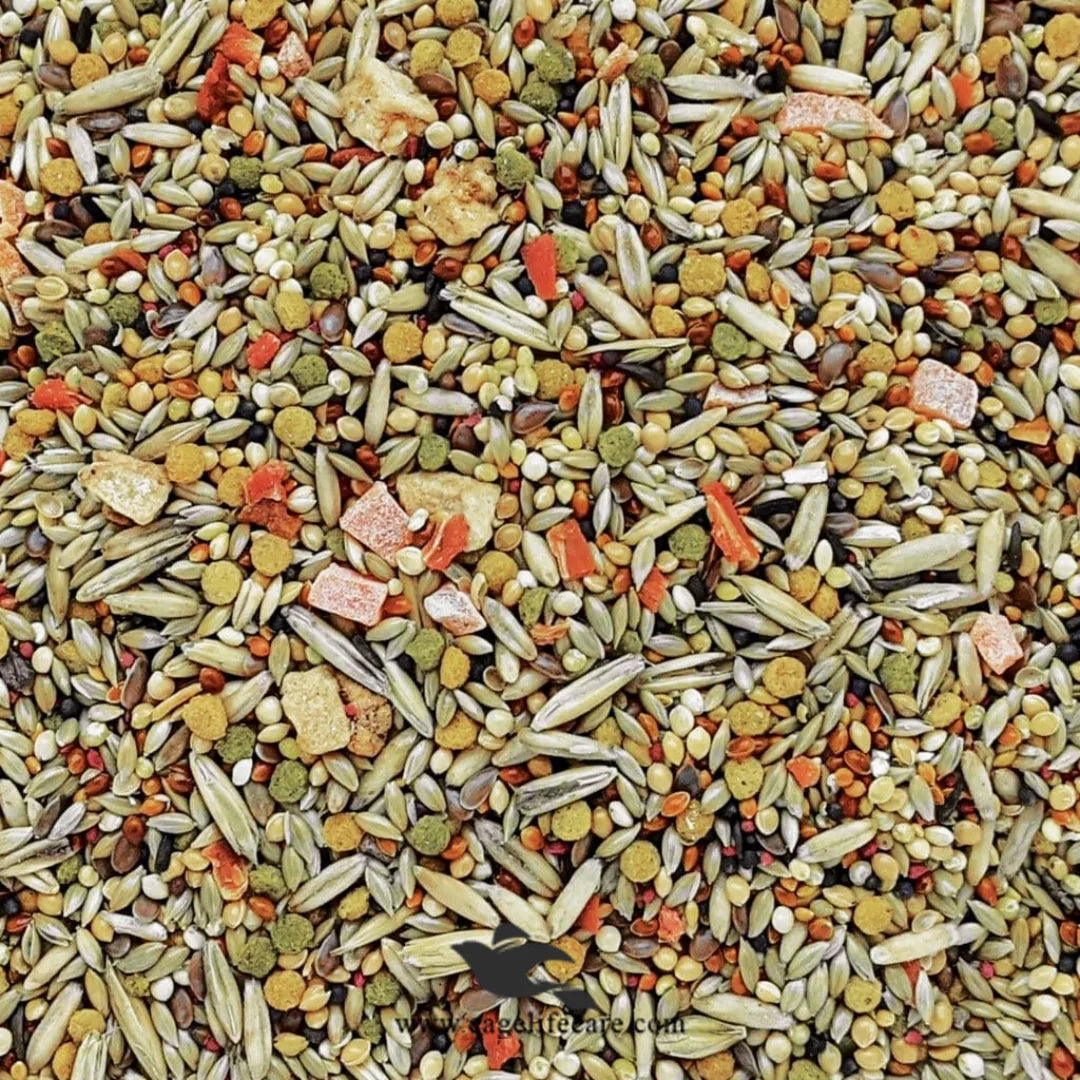 Hagen Budgies Seed Mix – Gourmet Premium Seed for Small Parakeets
