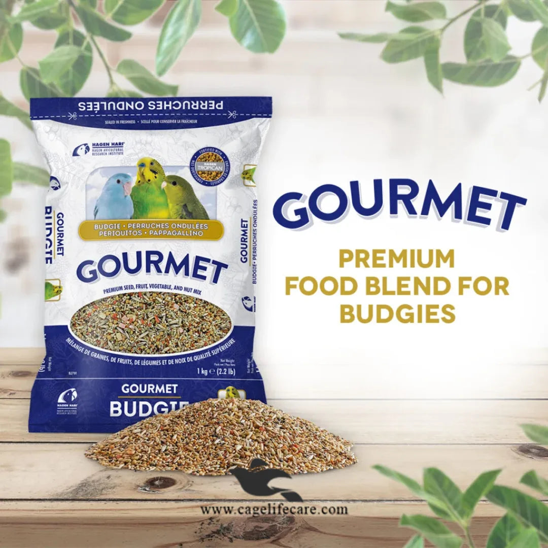 Hagen Budgies Seed Mix – Gourmet Premium Seed for Small Parakeets