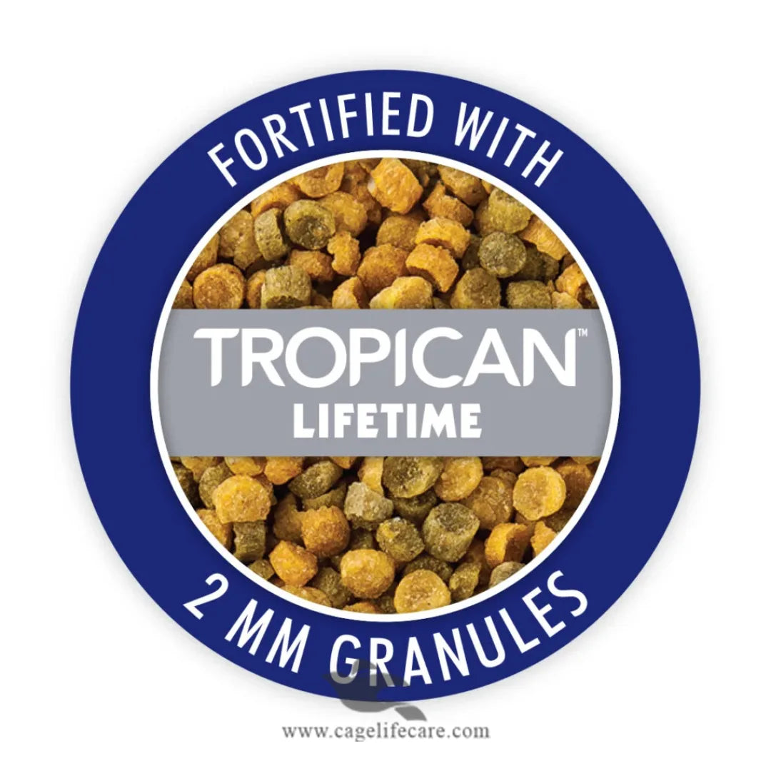 Hagen Budgies Seed Mix – Gourmet Premium Seed for Small Parakeets