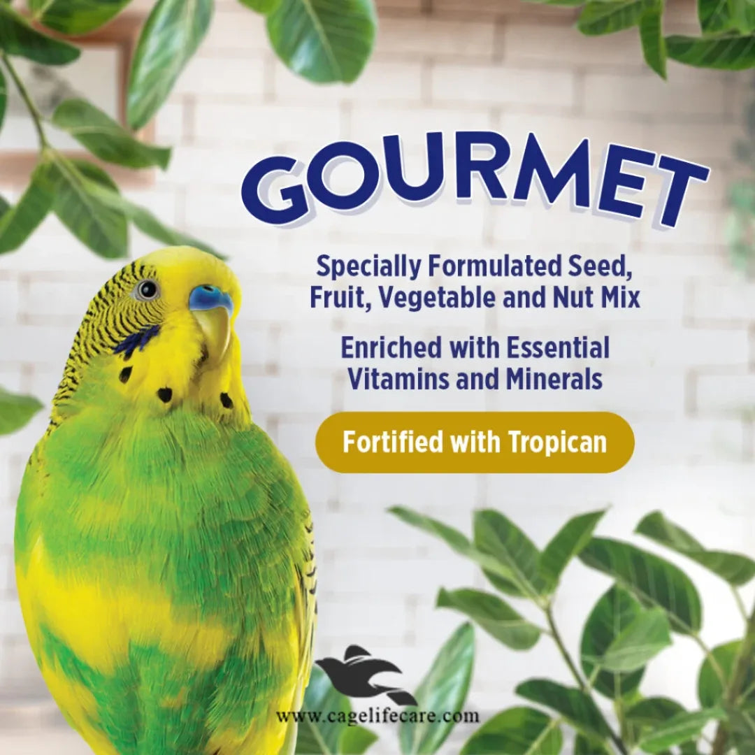 Hagen Budgies Seed Mix – Gourmet Premium Seed for Small Parakeets