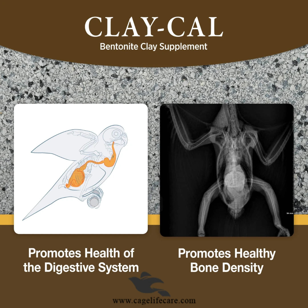 Hagen Clay Cal – Calcium Enriched Clay Supplement for Birds