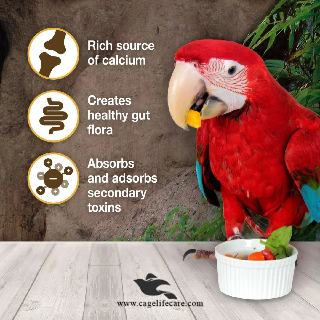 Hagen Clay Cal – Calcium Enriched Clay Supplement for Birds