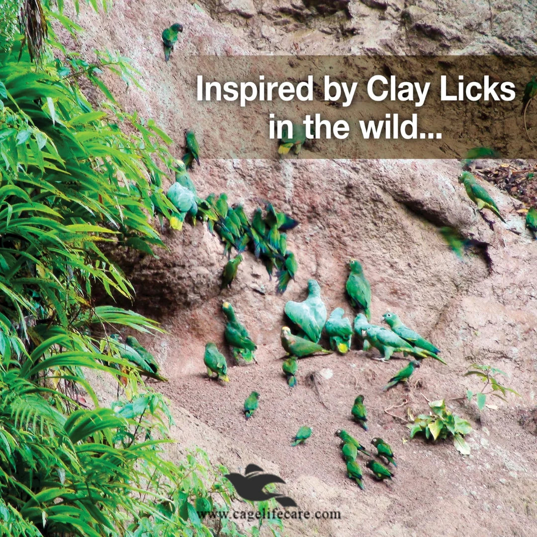 Hagen Clay Cal – Calcium Enriched Clay Supplement for Birds