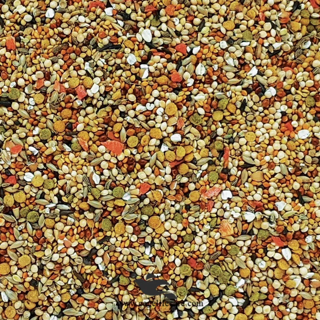 Hagen Gourmet Finch – Premium Seed Blend for Finches