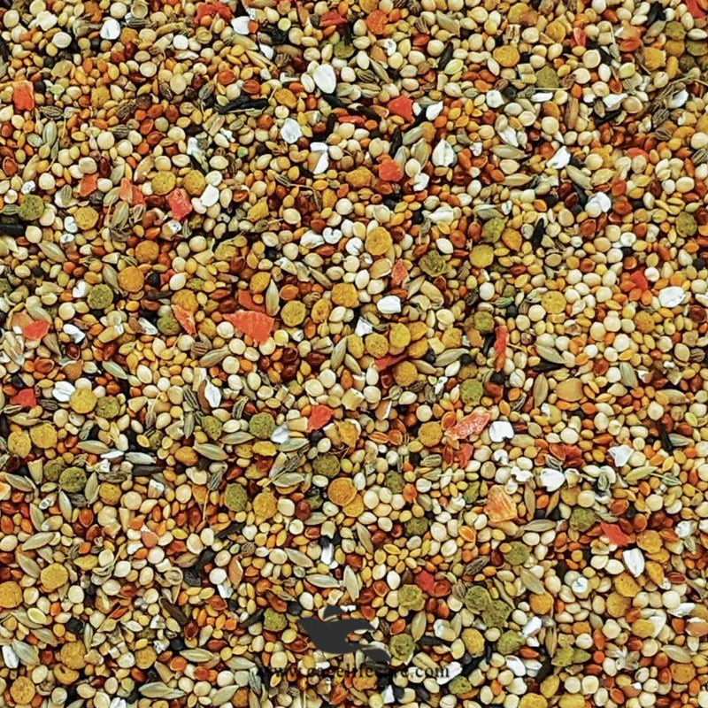 Hagen Gourmet Finch – Premium Seed Blend for Finches