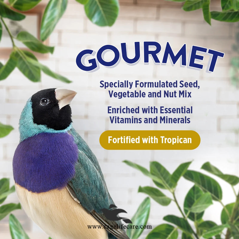 Hagen Gourmet Finch – Premium Seed Blend for Finches