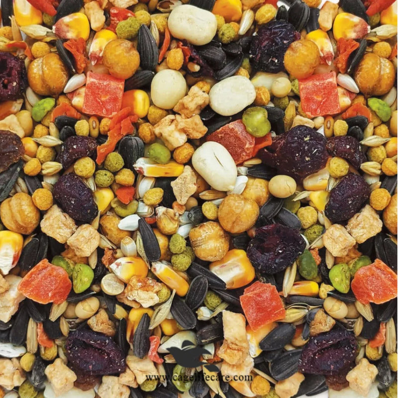 Hagen Gourmet Parrot – Premium Seed Blend for Parrots