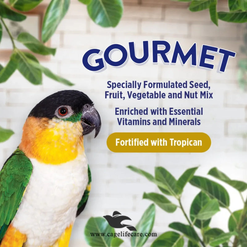 Hagen Gourmet Parrot – Premium Seed Blend for Parrots