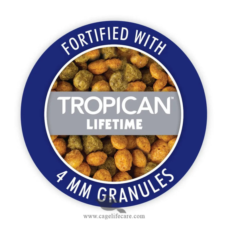 Hagen Gourmet Parrot – Premium Seed Blend for Parrots