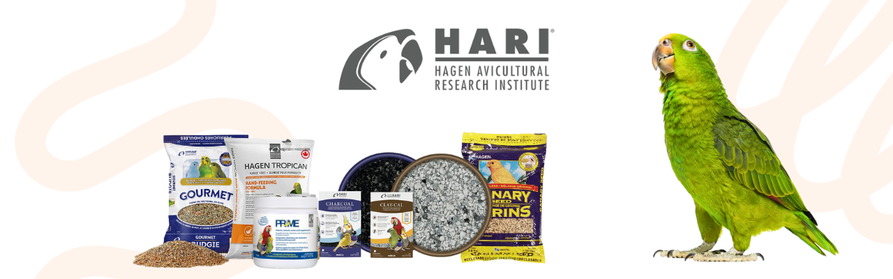 Hari Hagen