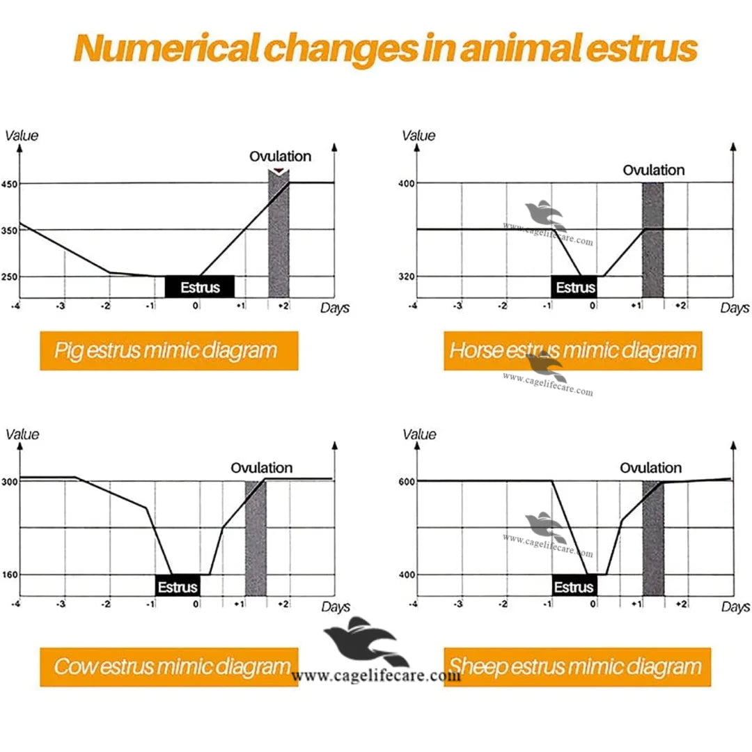 female cattle heat detector device
