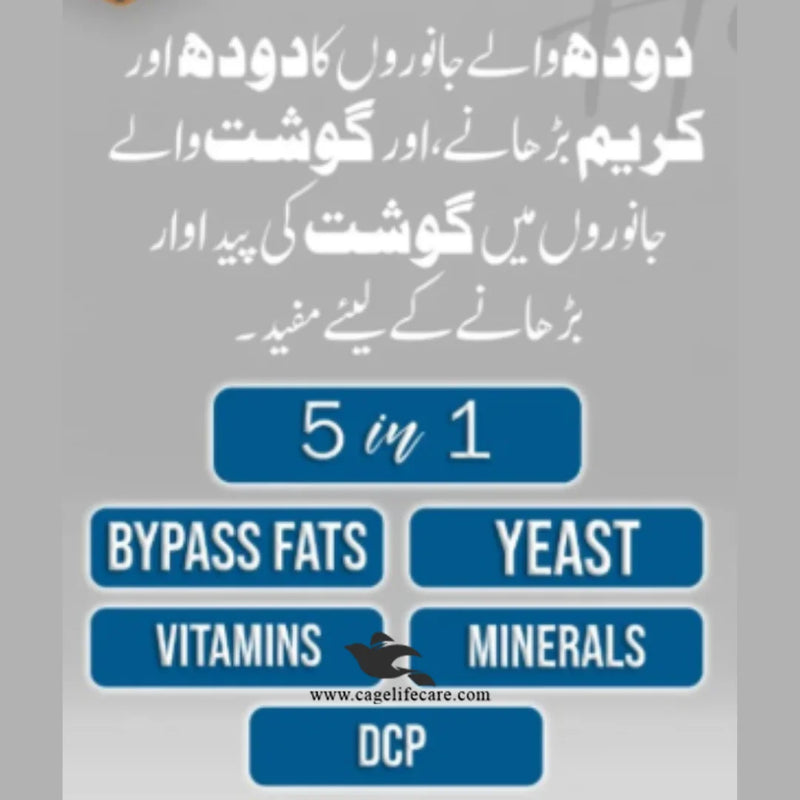 Heavy Gold 5 in 1 Livestock Supplement – Milk & Meat Production Booster