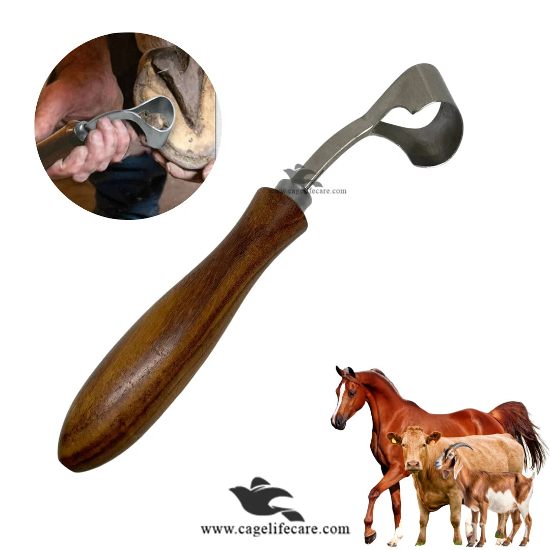 Round-shaped Hoof Knife – Trimming Tool For Livestock and Horses