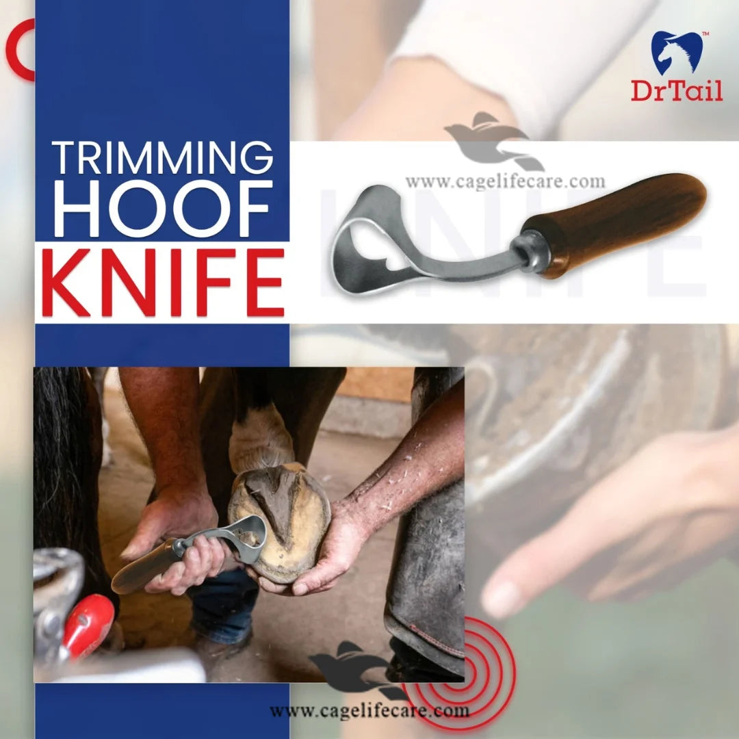 Round-shaped Hoof Knife – Trimming Tool For Livestock and Horses