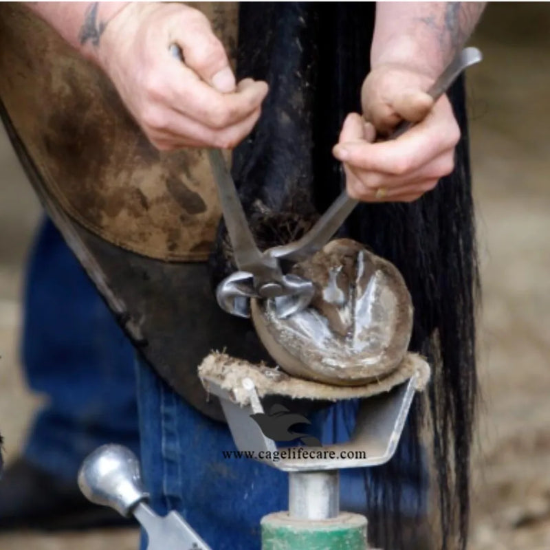 Farrier Hoof Nippers 15″ – Horseshoe Trimming Tool