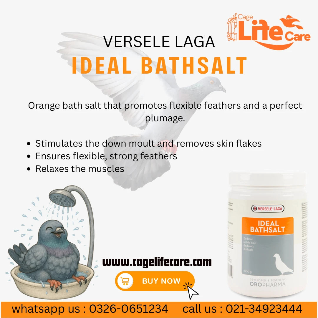 Ideal Bath Salt - Promotes Flexible Feathers & Perfect Plumage