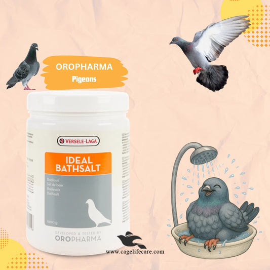 Ideal Bath Salt - Promotes Flexible Feathers & Perfect Plumage