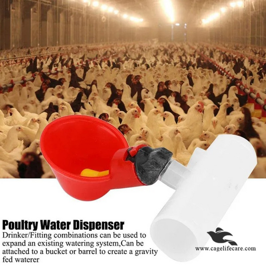 Imported Auto Water Cup - for Poultry & Pigeons Details