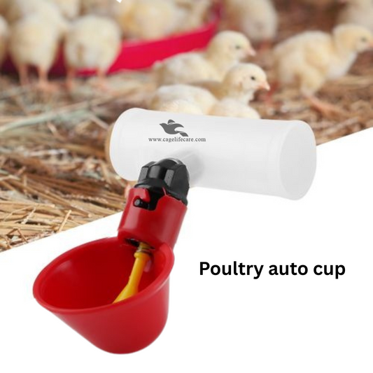 Imported Auto Water Cup - for Poultry & Pigeons