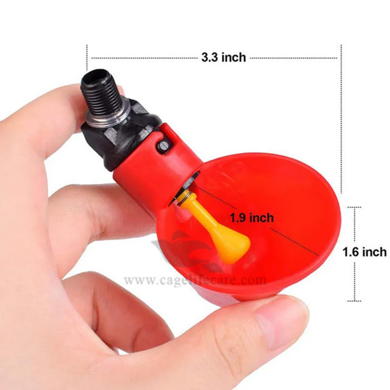 Imported Auto Water Cup - for Poultry & Pigeons
